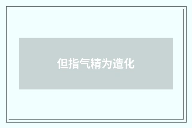 但指气精为造化