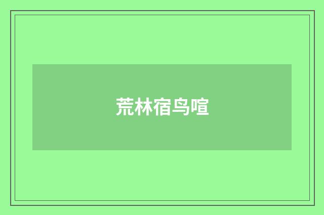 荒林宿鸟喧
