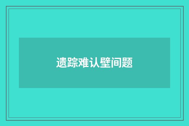 遗踪难认壁间题