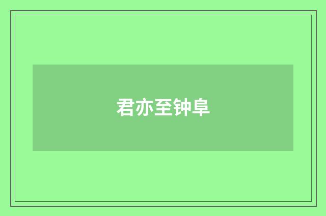 君亦至钟阜