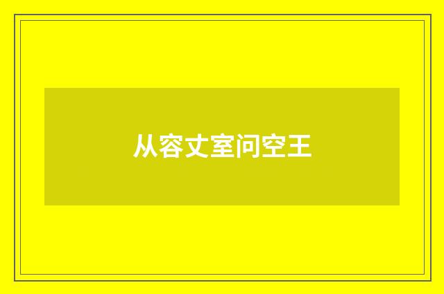 从容丈室问空王