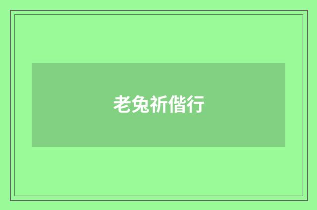 老兔祈偕行