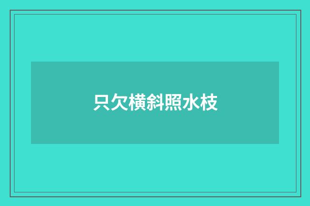 只欠横斜照水枝