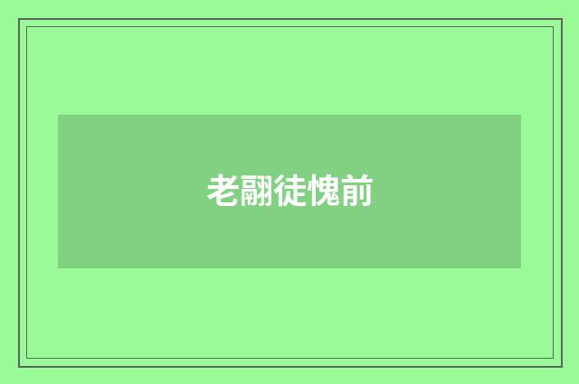 老翮徒愧前