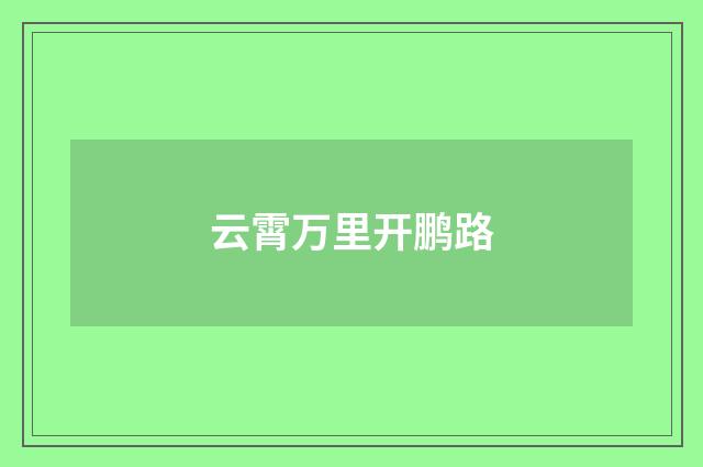 云霄万里开鹏路