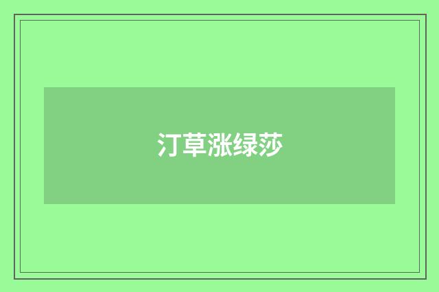 汀草涨绿莎