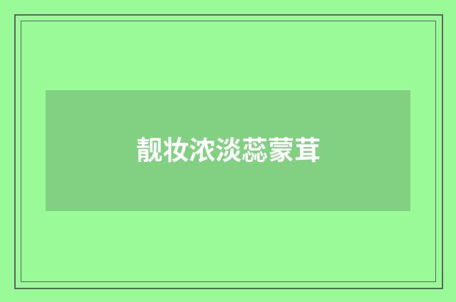 靓妆浓淡蕊蒙茸
