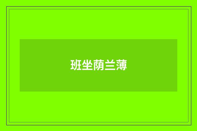 班坐荫兰薄