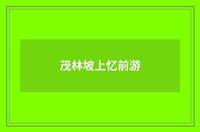 茂林坡上忆前游
