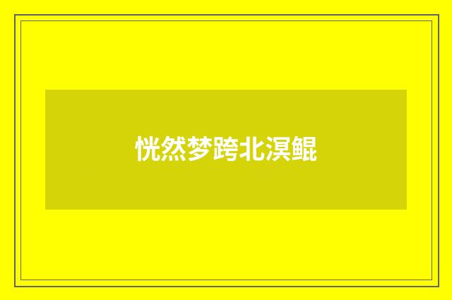恍然梦跨北溟鲲