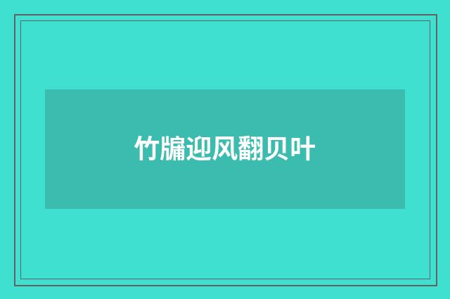 竹牖迎风翻贝叶