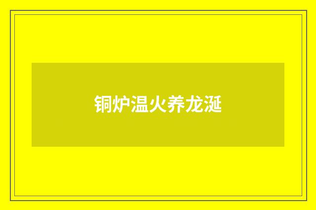 铜炉温火养龙涎