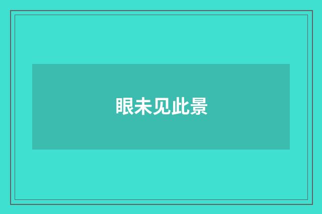 眼未见此景