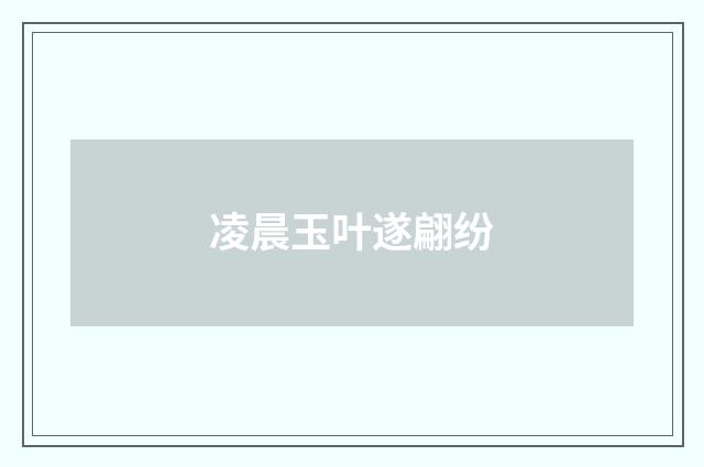 凌晨玉叶遂翩纷