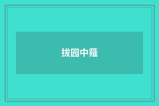 拔园中薤