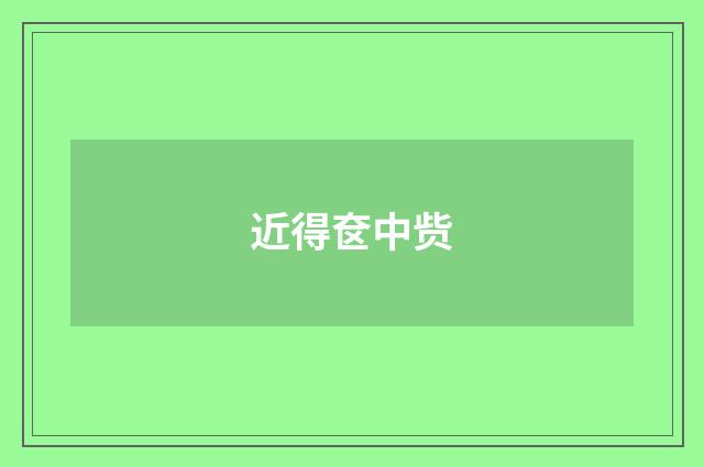 近得奁中赀
