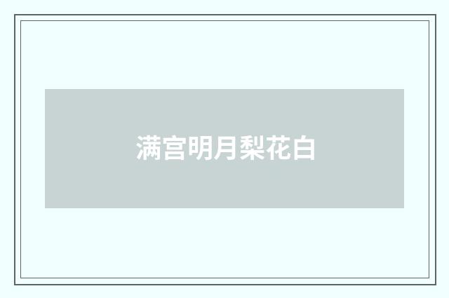 满宫明月梨花白