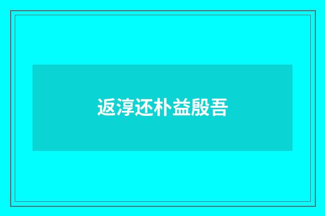 返淳还朴益殷吾