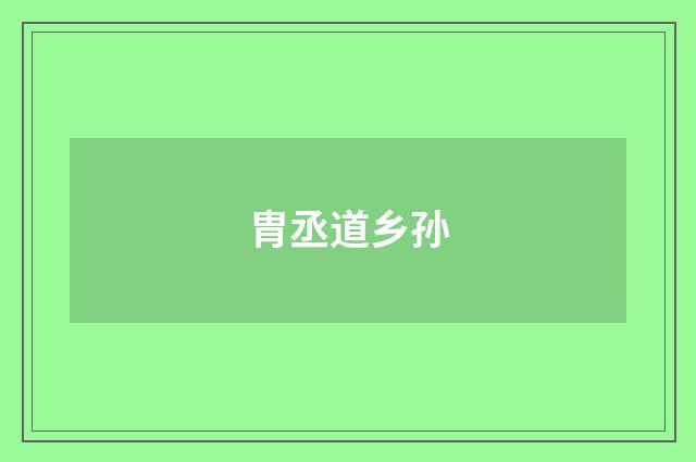 胄丞道乡孙