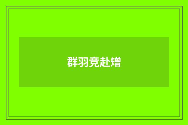 群羽竞赴矰