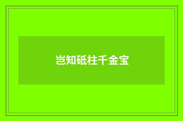 岂知砥柱千金宝