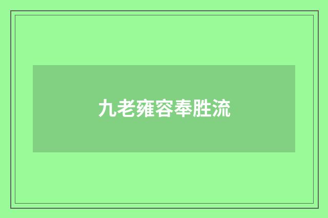 九老雍容奉胜流
