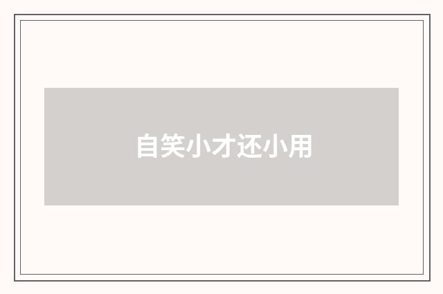 自笑小才还小用