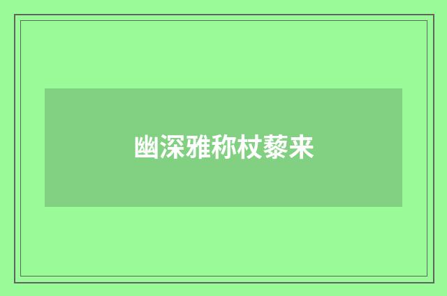 幽深雅称杖藜来