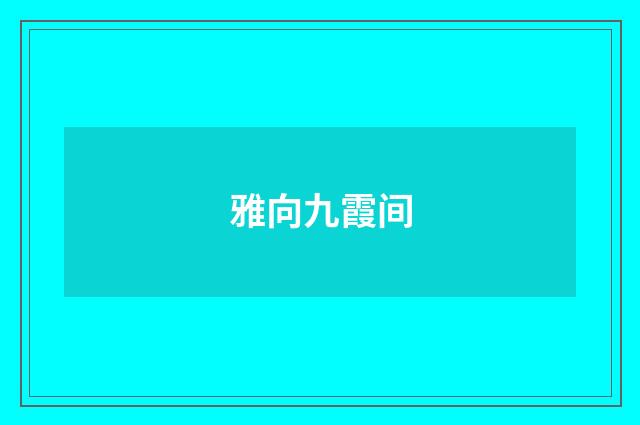 雅向九霞间