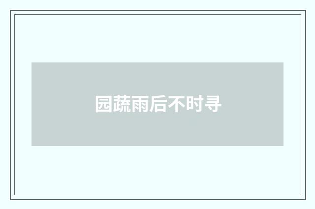 园蔬雨后不时寻