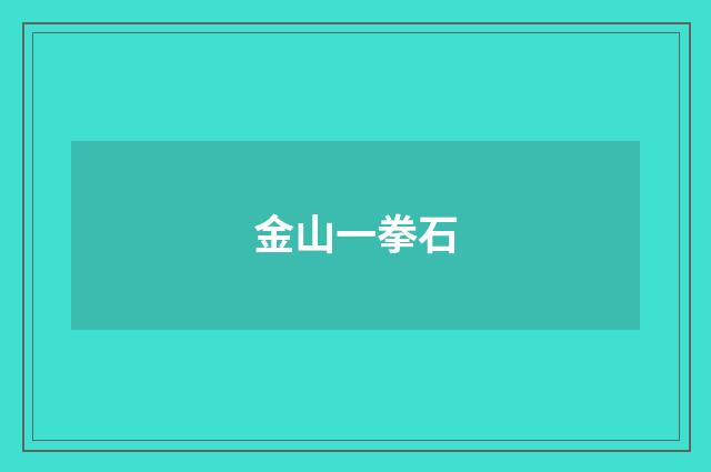 金山一拳石