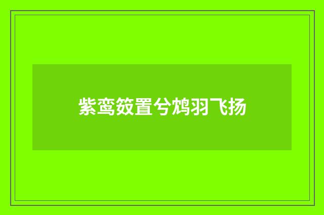 紫鸾笯置兮鸩羽飞扬
