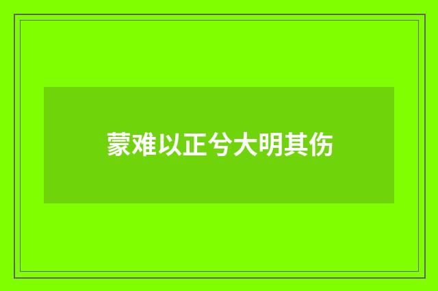 蒙难以正兮大明其伤