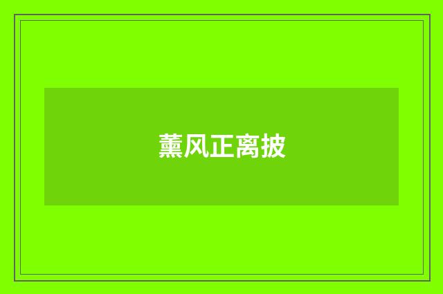 薰风正离披
