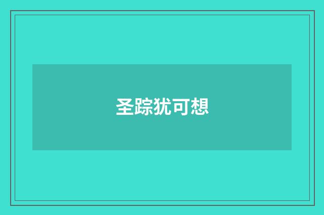 圣踪犹可想