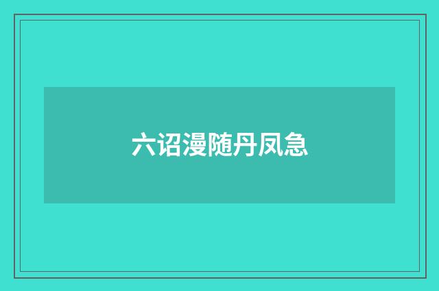 六诏漫随丹凤急