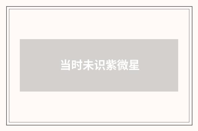 当时未识紫微星