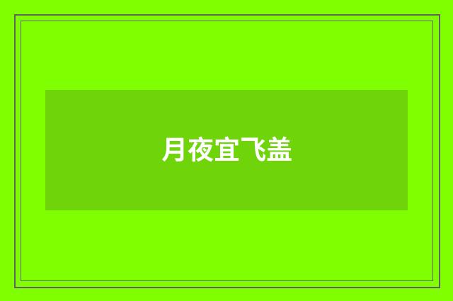 月夜宜飞盖