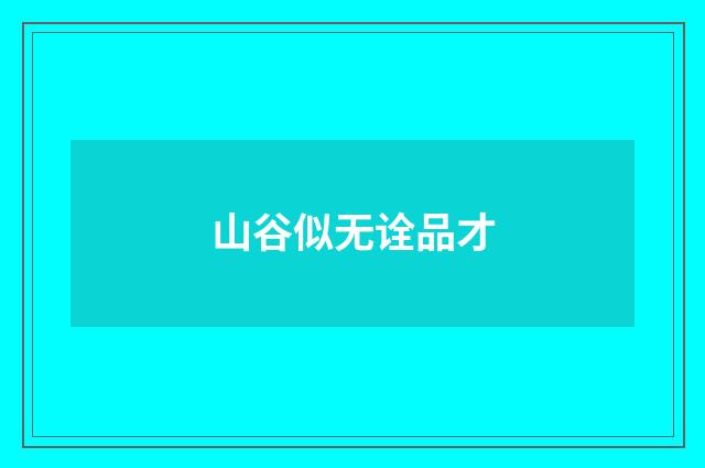 山谷似无诠品才