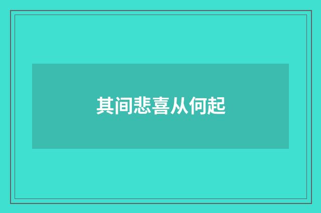 其间悲喜从何起