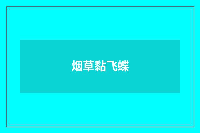 烟草黏飞蝶