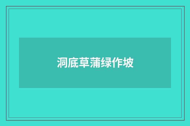 洞底草蒲绿作坡