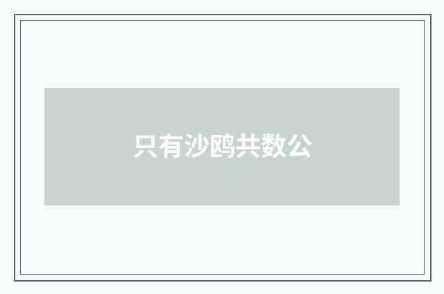 只有沙鸥共数公