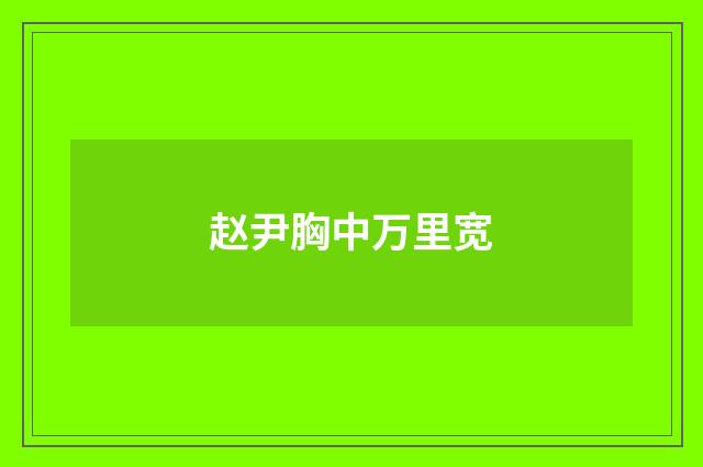 赵尹胸中万里宽