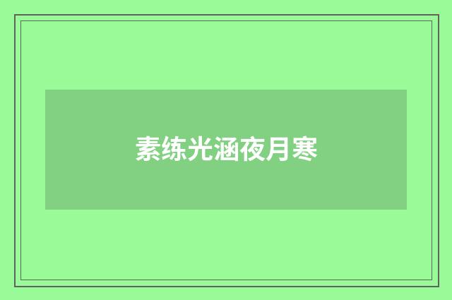 素练光涵夜月寒
