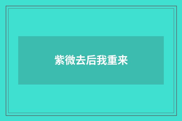 紫微去后我重来