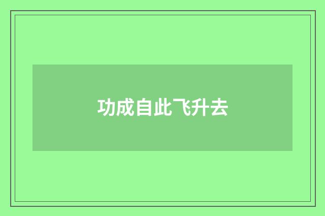 功成自此飞升去