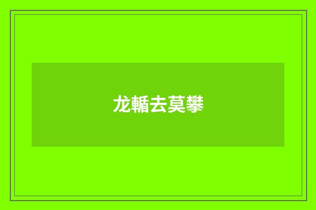 龙輴去莫攀