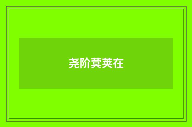 尧阶蓂荚在