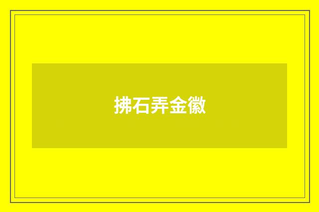拂石弄金徽